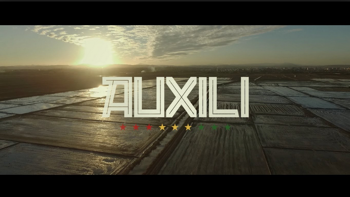 Auxili