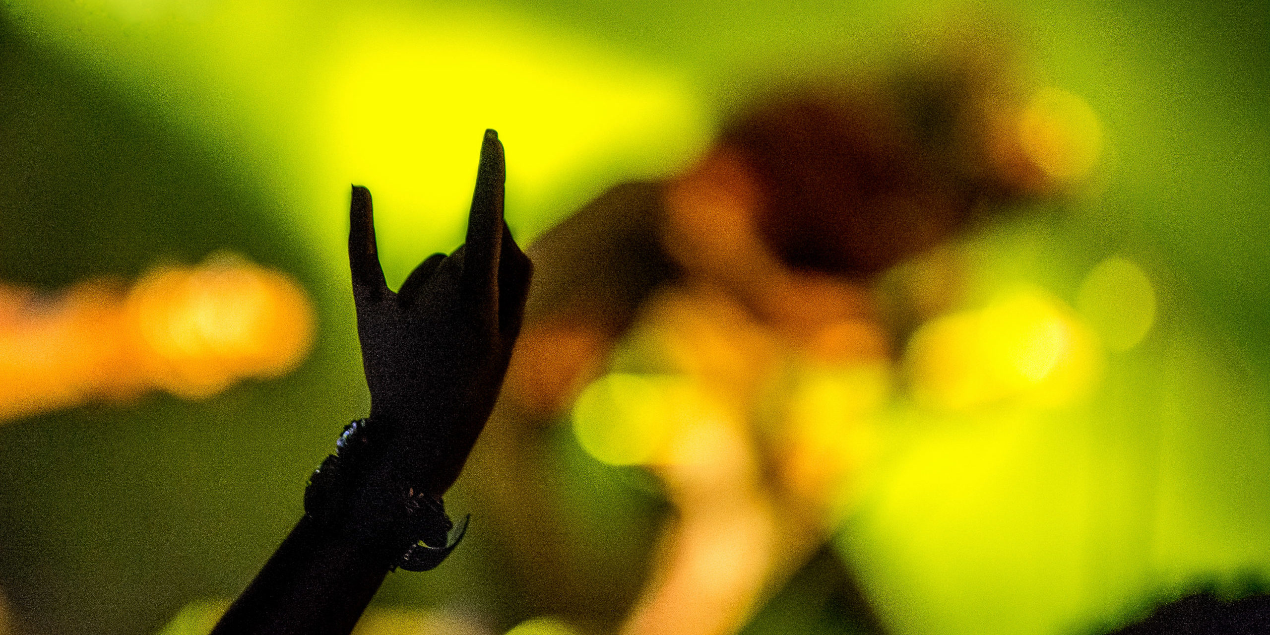 14973492356_2ae6744c80_o