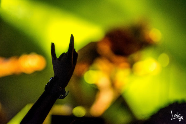 14973492356_2ae6744c80_o