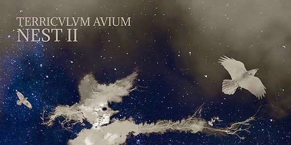 Nest II TERRICULUM AVIUM