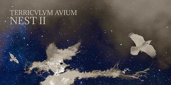 Nest II TERRICULUM AVIUM Nest II TERRICULUM AVIUM