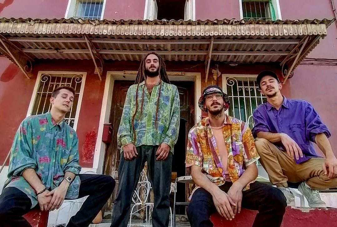 licor colecta Licor Colecta