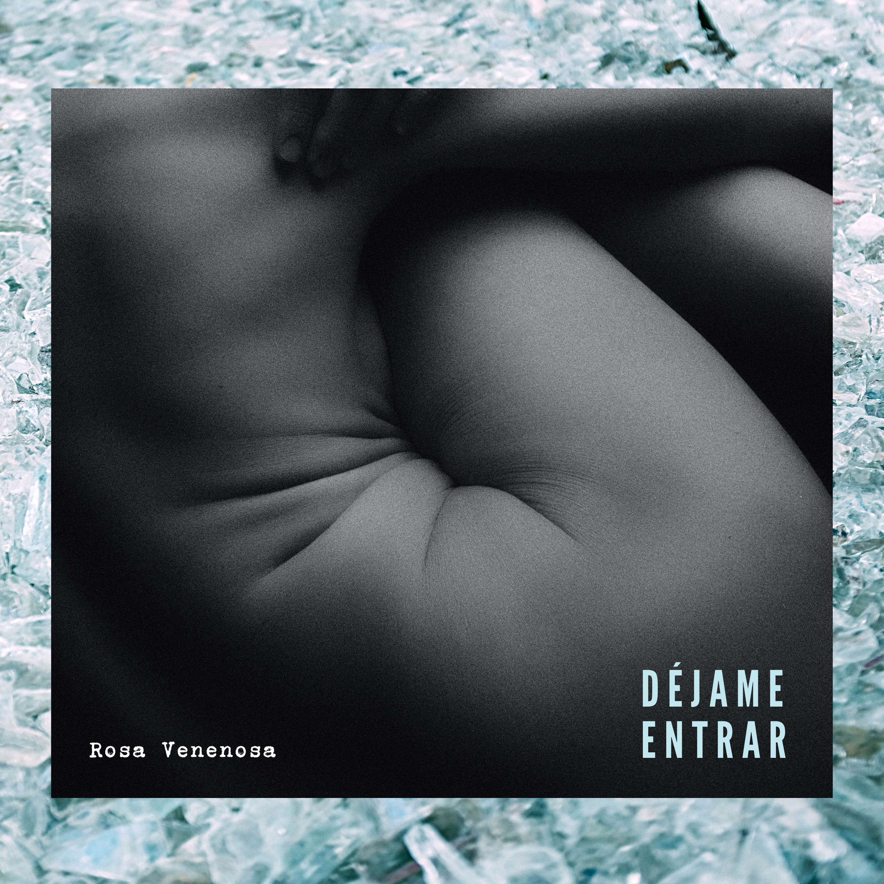 Rosa Venenosa Rosa Venenosa