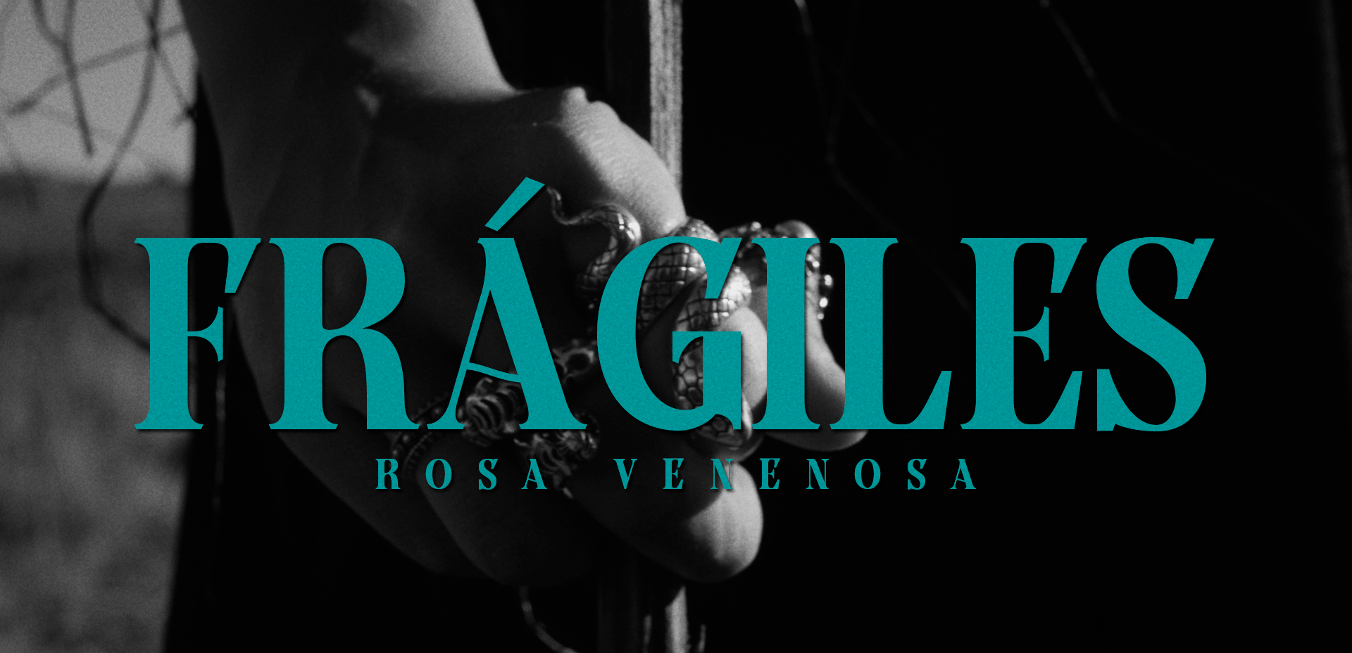 ROSA_VENENOSA_FRAGILES