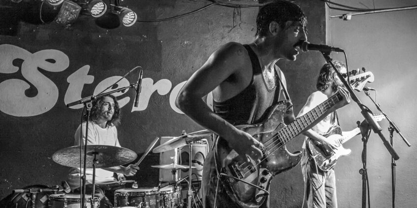 Concierto de Sexy Zebras