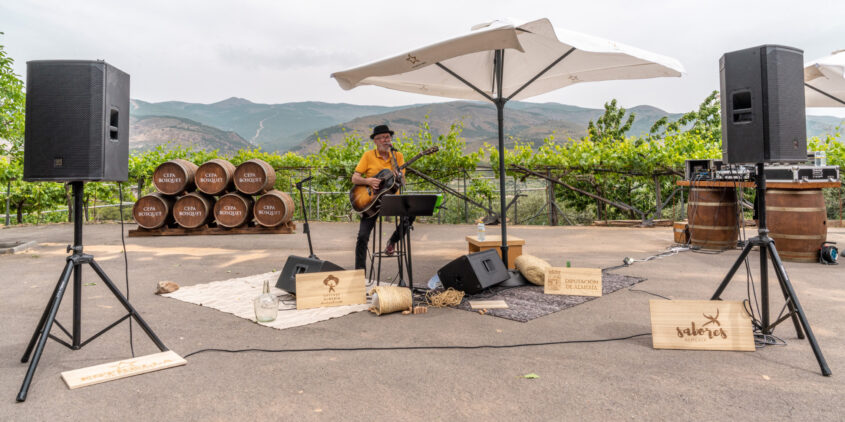 Pancho Varona en concierto