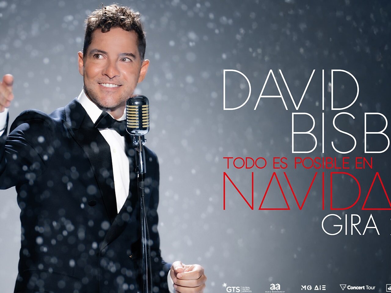 David Bisbal Cartel gira Todo es posible en Navidad