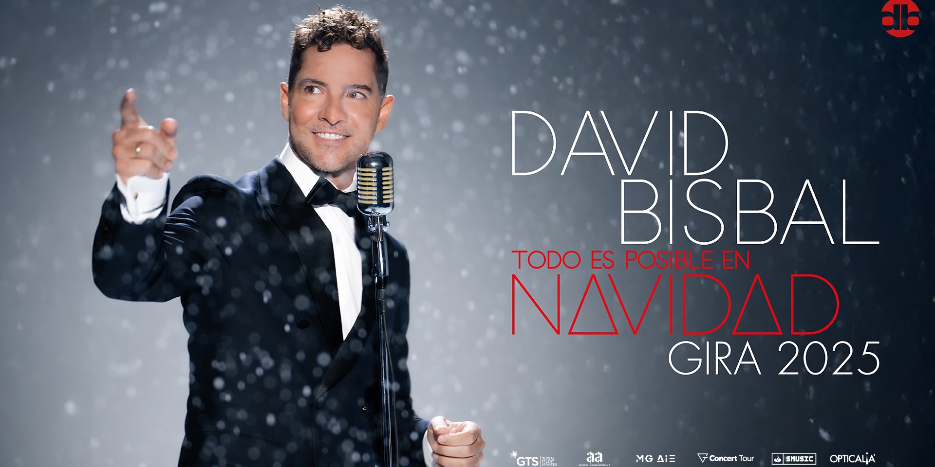 Bisbal gira Todo es posible en Navidad David Bisbal Cartel gira Todo es posible en Navidad